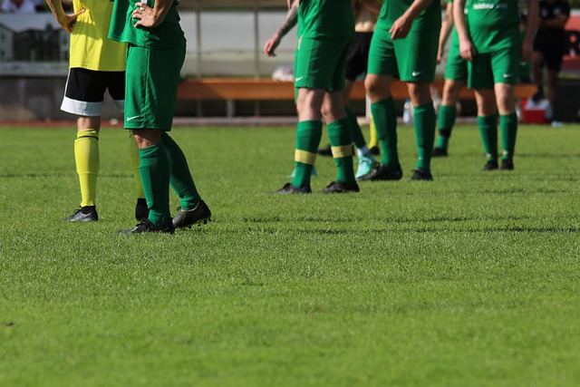 域的独特影 域的独特影