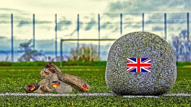 球迷们不只 球迷们不只