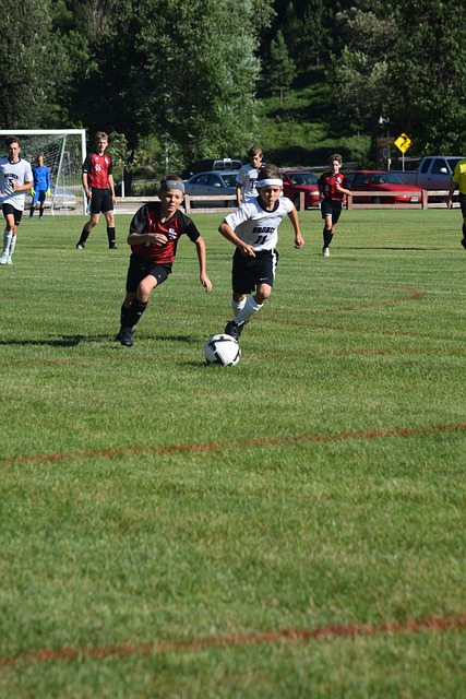 灰熊队的这 灰熊队的这